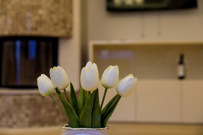 Expecto Aparthotel Sinaia